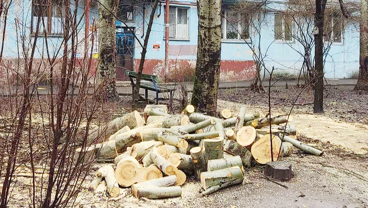 Початок спилу аварійних дерев