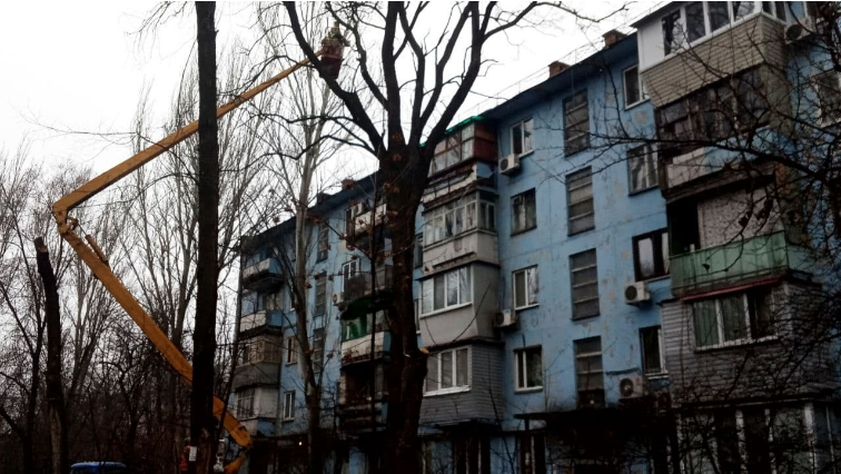Початок спилу аварійних дерев
